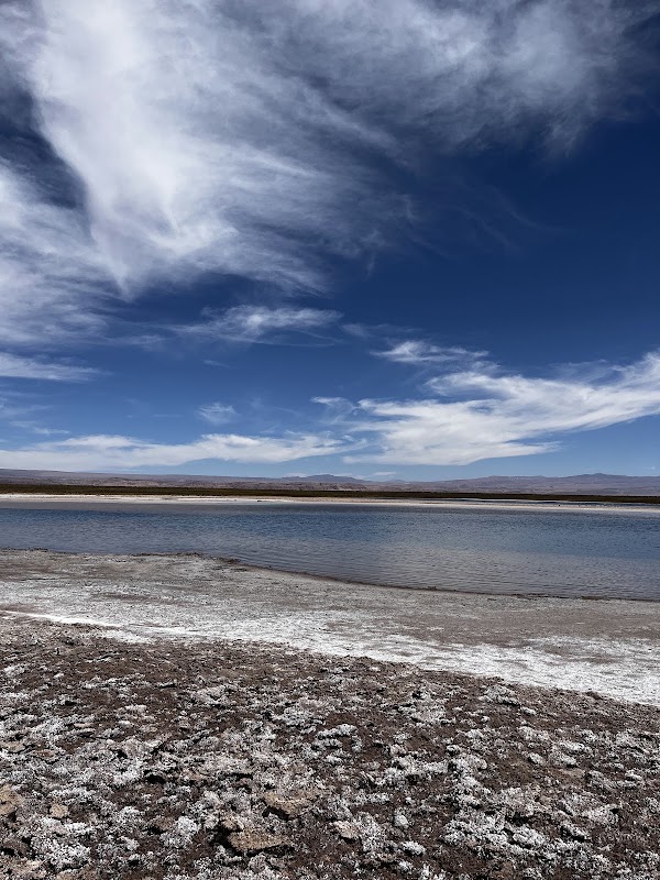 Laguna Cejar 1