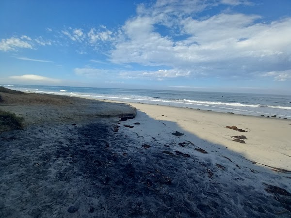Carlsbad State Beach 4