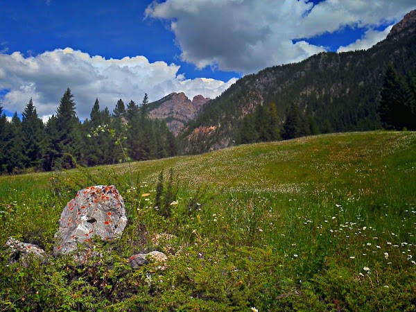 Fairmont Hot Springs 3