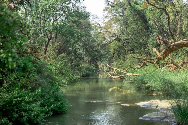 Lilongwe Wildlife Centre 1