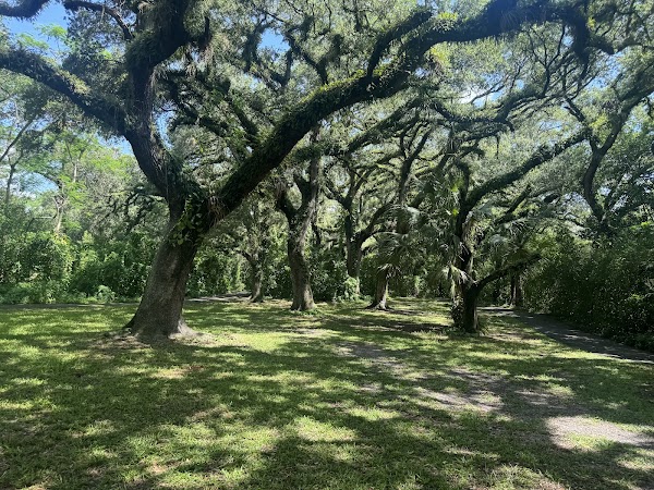 Tree Tops Park 5