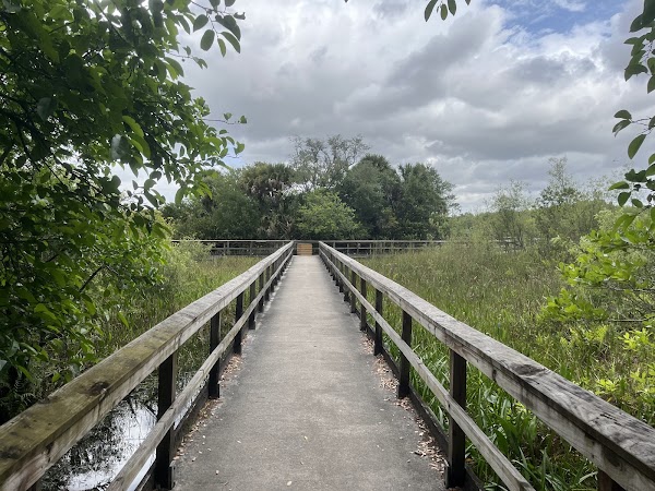 Tree Tops Park 3