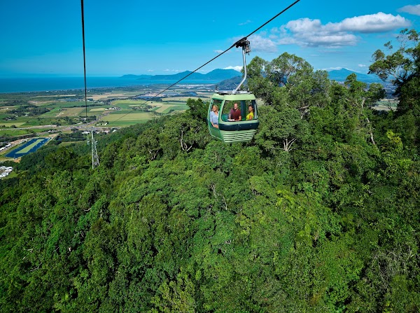 Skyrail Rainforest Cableway 1