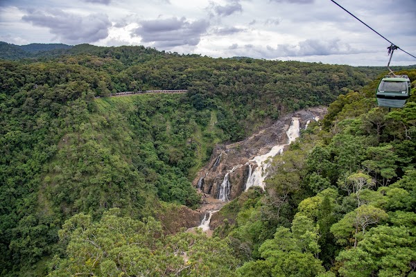 Skyrail Rainforest Cableway 5