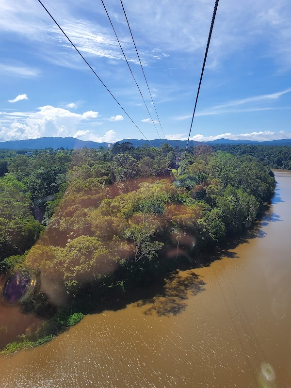 Skyrail Rainforest Cableway 4