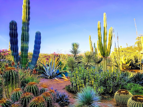 Anima (André Heller Garden) 3