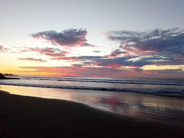 Playa Las Flores 5