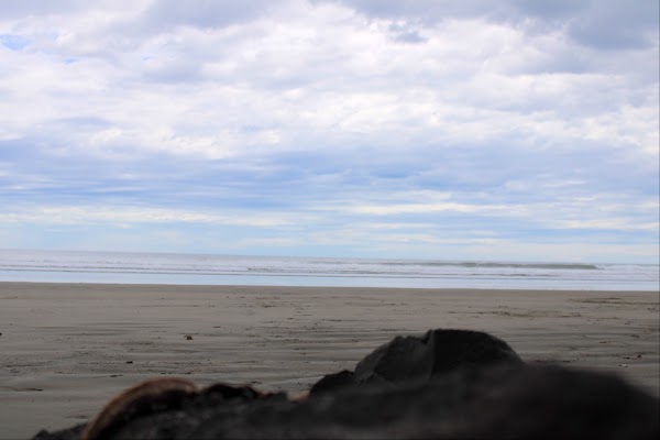 Playa Las Flores 4