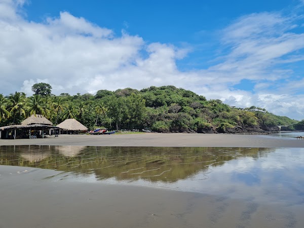 Playa Las Flores 3