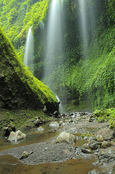 Madakaripura Waterfall 5