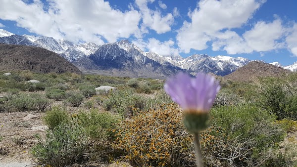 Alabama Hills 3