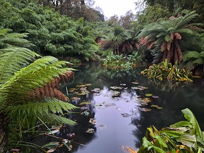 The Lost Gardens of Heligan