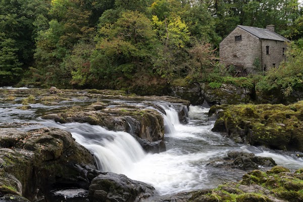 Cenarth Falls 1