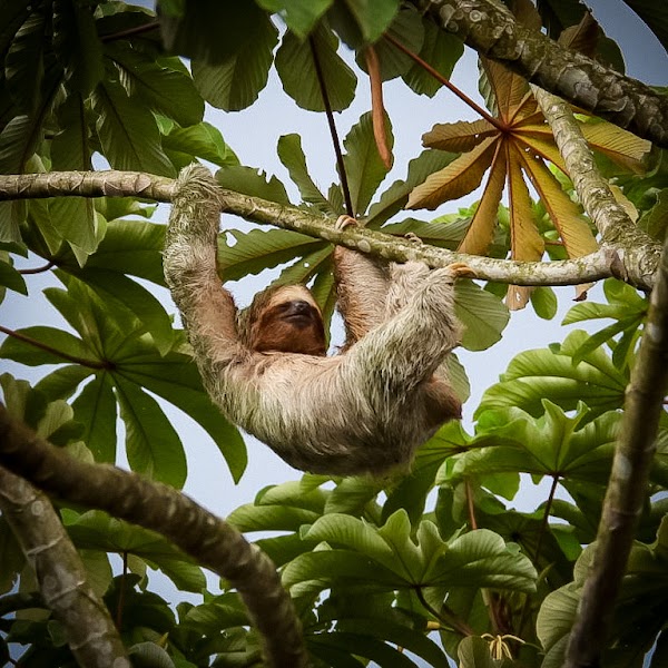 La fortuna Hikes and Trails