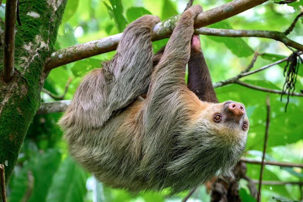 La fortuna Hikes and Trails 5