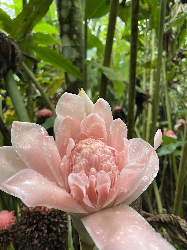 La fortuna Hikes and Trails 3