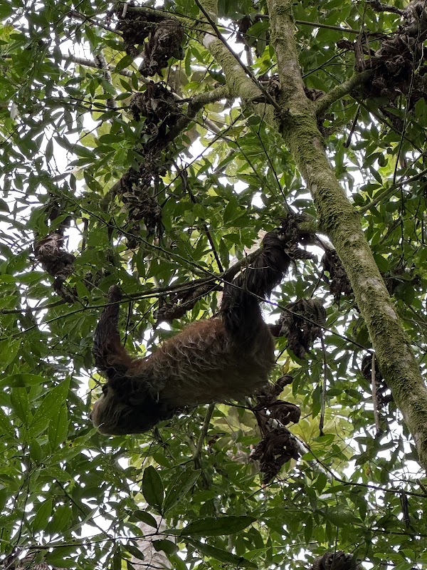 La fortuna Hikes and Trails 2