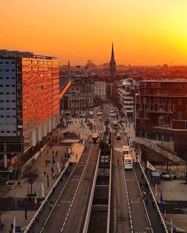 Lille 4