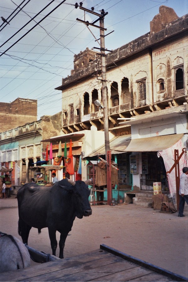 Mandawa 4