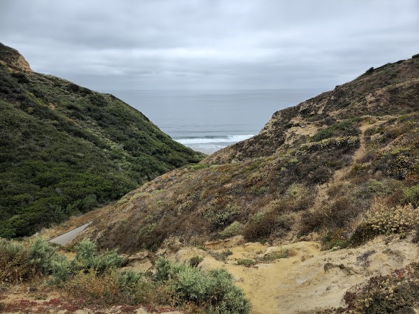 Blacks Beach Trailhead