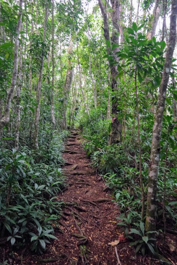 Raemaru trailhead 1