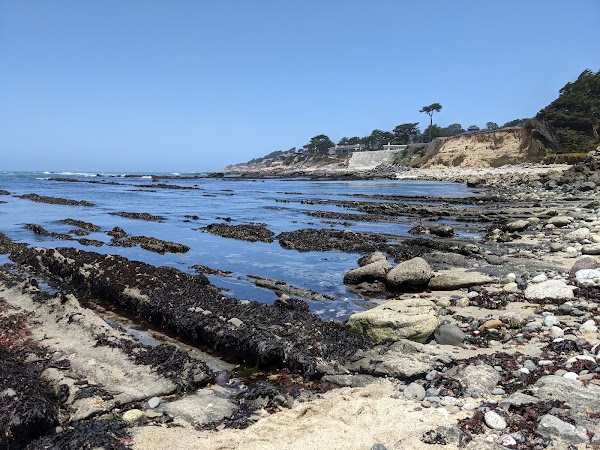 J V Fitzgerald Marine Reserve 5
