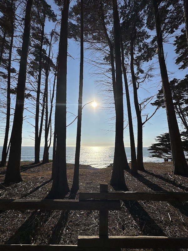 J V Fitzgerald Marine Reserve 4