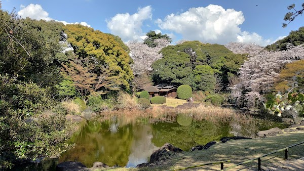 Tokyo National Museum 4