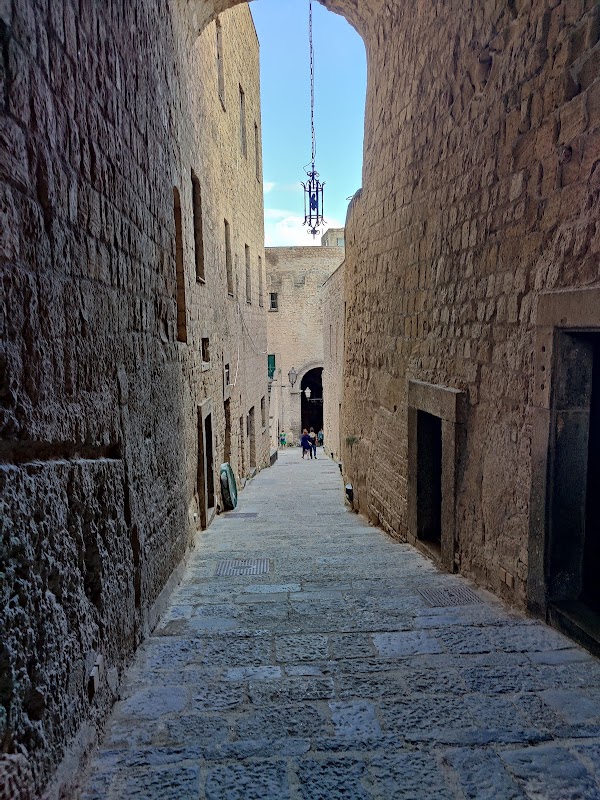 Ovo Castle 3