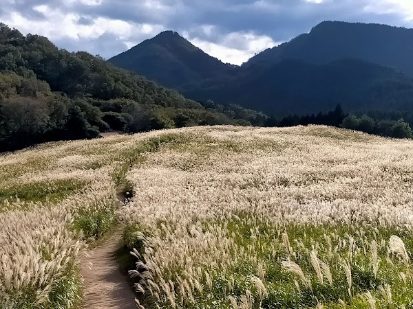 Soni Highlands 4