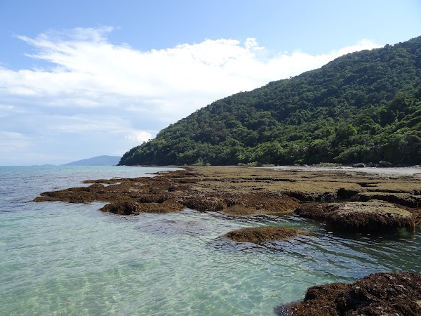 Cape Tribulation