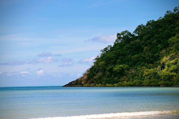 Cape Tribulation 5