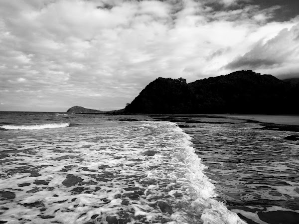 Cape Tribulation 4