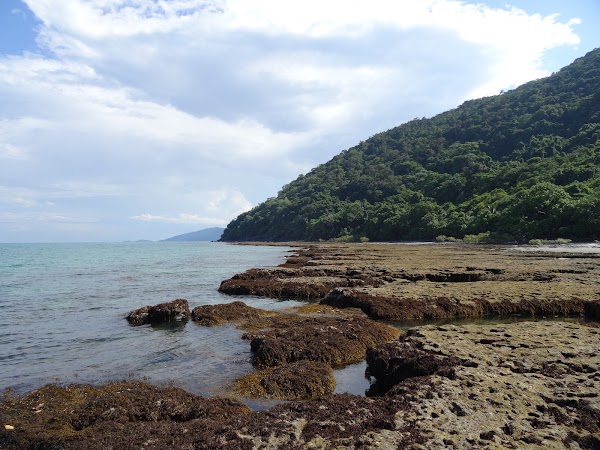 Cape Tribulation 3