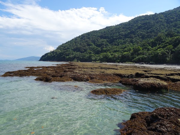 Cape Tribulation 2