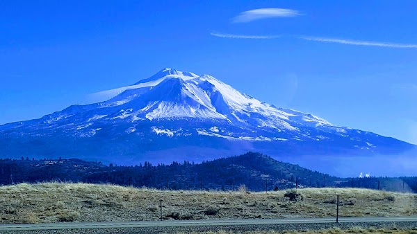 Shasta