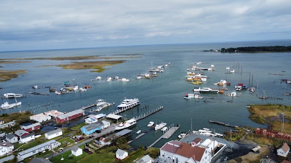 Tangier Island 5