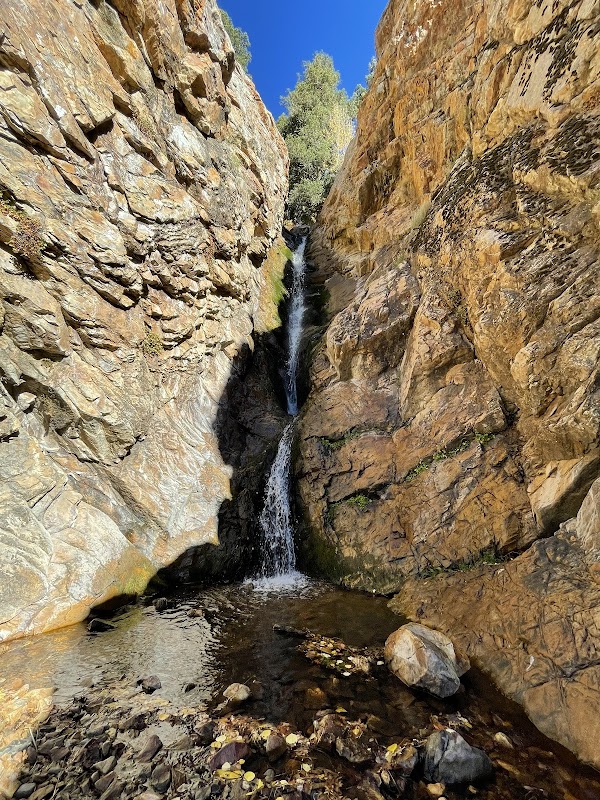 Moss Ledge Waterfall and Picnic Area