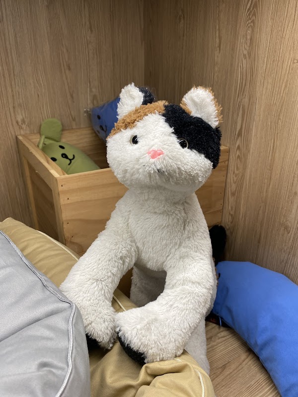 HAPET 好寵-永康店 4