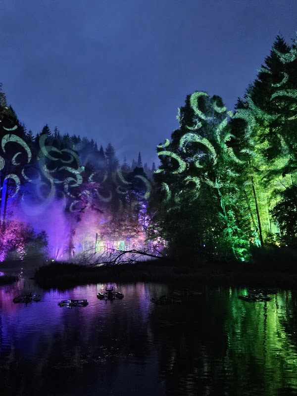 Faskally Forest 2
