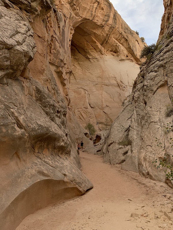 Cottonwood Narrows