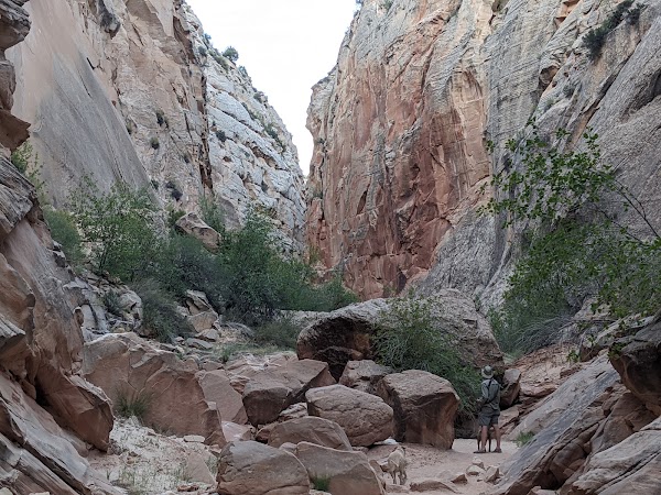 Cottonwood Narrows 5
