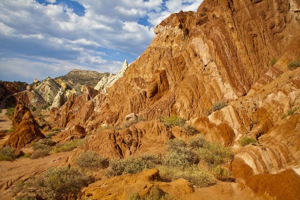 Cottonwood Narrows 4