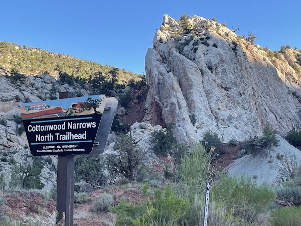 Cottonwood Narrows 2