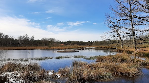 Landgoed Den Treek-Henschoten NV 3