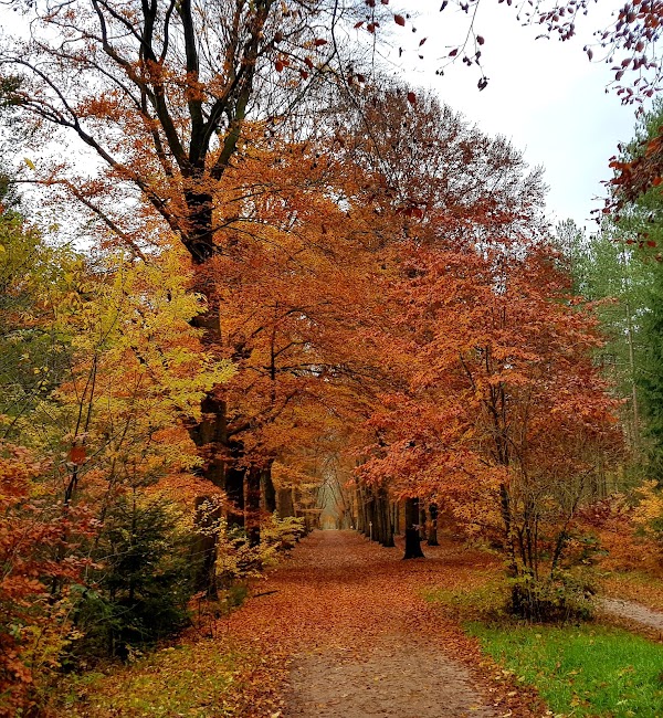 Landgoed Den Treek-Henschoten NV 2