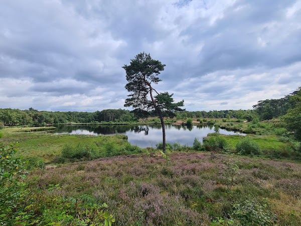 Hatertse en Overasseltse Vennen 1