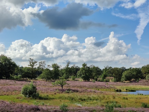 Hatertse en Overasseltse Vennen 3