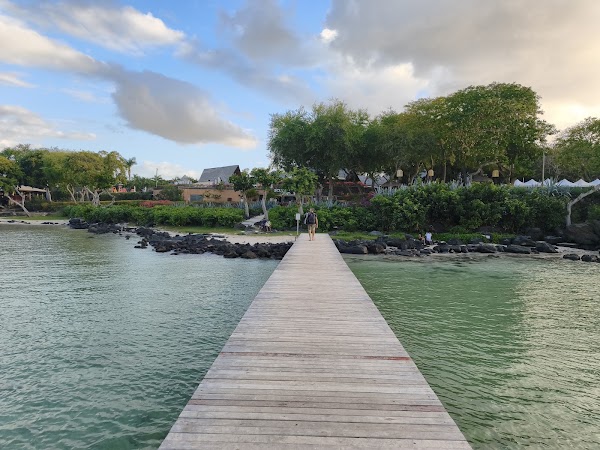 Albion Beach 2 1