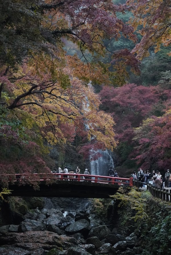 Minoh